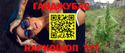 ECSTASY Камышлов