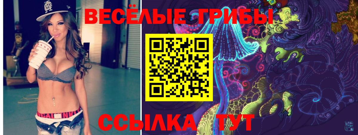 Псилоцибиновые грибы прущие грибы  Вход с VPN  Псков 